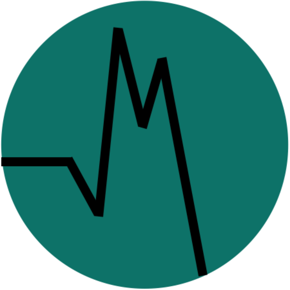 paceMakers logo